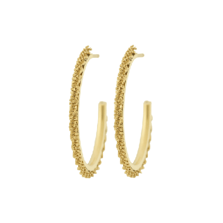 Edblad Tinsel Thin Creoles S Gold Smycken & klockor Dam Guld ONESIZE