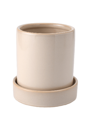 Åhléns Home Örtkruka med fat Dekoration Beige ONESIZE