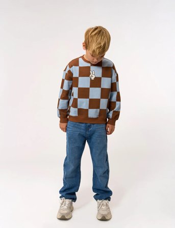 The New Tnpollard Os Sweatshirt - Brown - 98/104