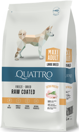 Quattro Maxi Adult with Poultry 12 kg