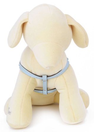 Puppy Angel - Metamorphosis Sele - Blå - S - Hundsele