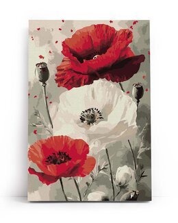 Paint By Numbers Blommande vallmo