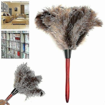 Antistatisk Äkta Strutsfjäderdamvippa 32cm Trähandtag Borste Rengöring