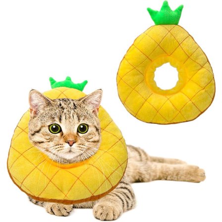 Katt Restitusjonskrage - Søt Ananas Hals Katt Kjegler Etter Operasjon