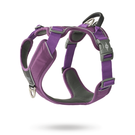DOG Copenhagen - Comfort Walk Pro 3.0 Harness - Purple Passion - Klassiske hundeseler, step-in, jacket seler, trekkseler, vinterseler & Y-seler på 