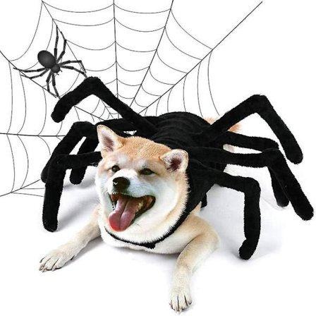 Halloween Edderkop Hundekostume til Hunde og Katte XL-FA-