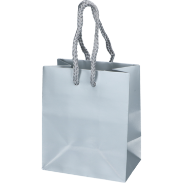 DELUXEPOSE SØLV 10X6X12CM