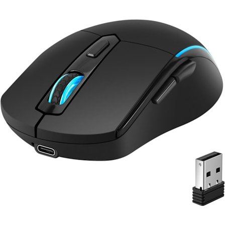 Trådlös mus, ergonomisk optisk mus med 800/1200/1600 DPI-inställningar för PC, laptop och kontorsbruk, svart