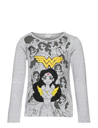T-Shirt T-shirts Long-sleeved T-shirts Multi/mönstrad DC Super Heroes