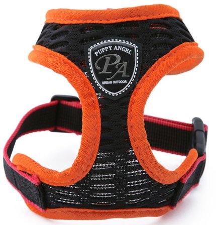 Puppy Angel - PA Hive Orange - Sele och Koppel - XL - Hundsele