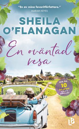 En oväntad resa - Bok av Sheila O ́Flanagan - Pocket