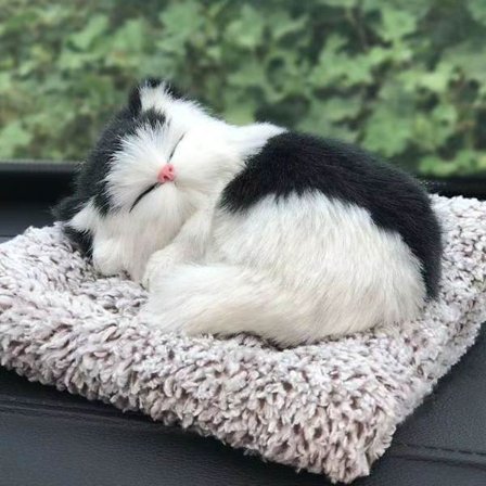 Bedårande Vocal Cat Plyschleksak 6 6