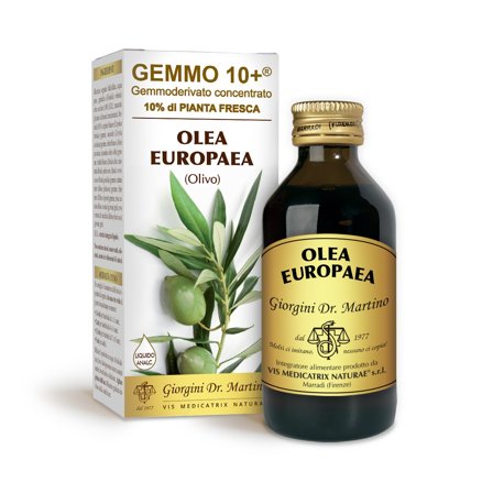 Dr.Giorgini Gemmo 10+ Olivo Liquido Analcolico 100ml