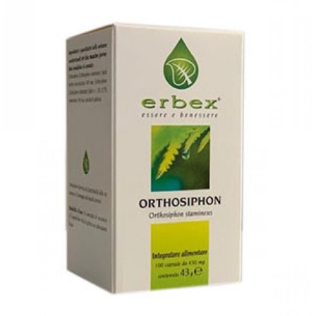 Ortosiphon 100 Capsule 430mg