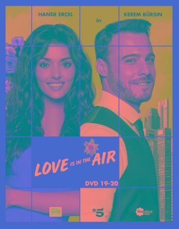 Love Is In The Air #10 (2 Dvd)