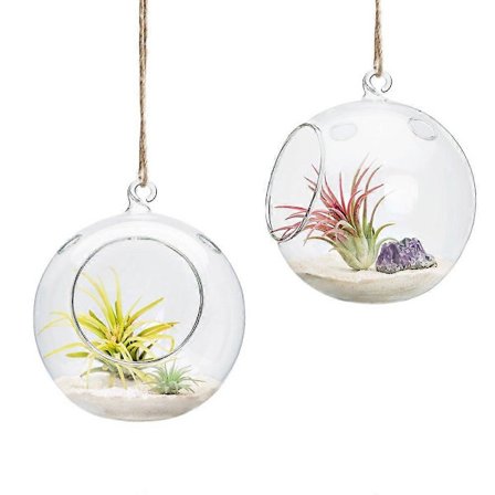 Hängande blomkruka i glas, 15 cm, 2-pack