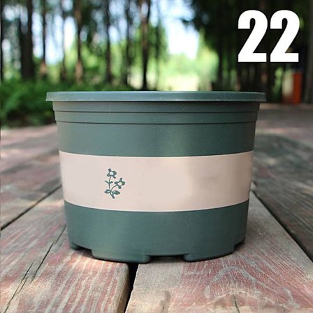 Stor rund kort blomkruka Kontroll Rot Roskruka Plantering Fröplanta Förtjockning Plastblomkruka eller bricka