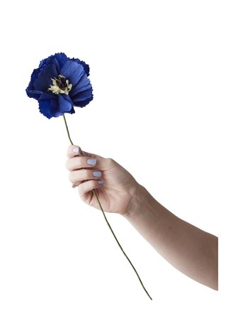 Paper Flower Blue Studio About