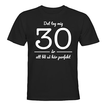 Det Tog Mig 30 år - T-SHIRT - HERR