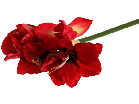 Dekoration Amaryllis 50cm - Lyreco - Kontorsmöbler och inredning - Barriärsystem - Tillbehör