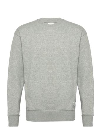 Sdlenz Crew Sw Grey Solid