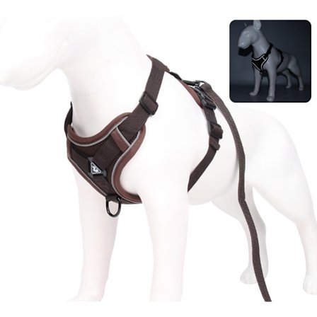 Café, S-True Love Hundsele Utan Dragkedja Framtill Klippväst Justerbar