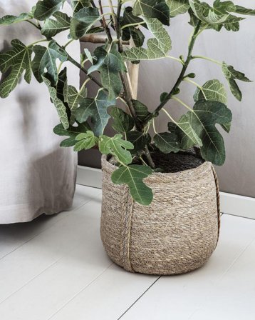 House Doctor Plant Kurvsett Natur 2stk