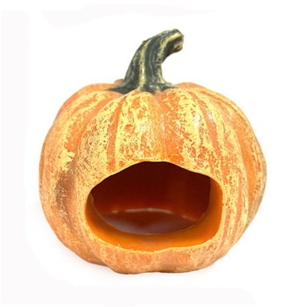 Halloween græskar figur miniature græskar 1 1