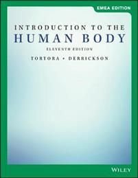Introduction to the Human Body