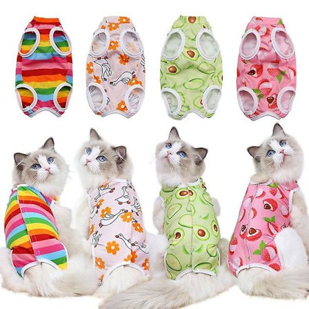 Katte Steriliserings Tøj Efter Operation Frugt Serie Fire Sæsoner Kæledyrstøj