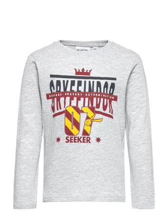 Long-Sleeved T-Shirt T-shirts Long-sleeved T-shirts Grå Harry Potter