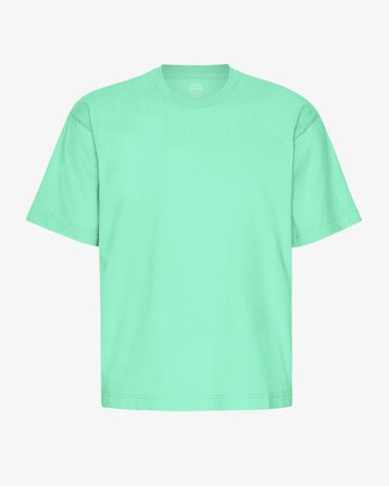 Oversized Organic T-Shirt - Spring Green