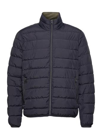 Gorry Black Mango
