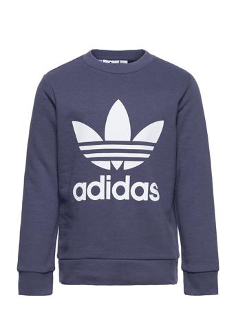 Trefoil Crew Sweatshirt Sweat-shirt Genser Multi/mønstret Adidas Originals