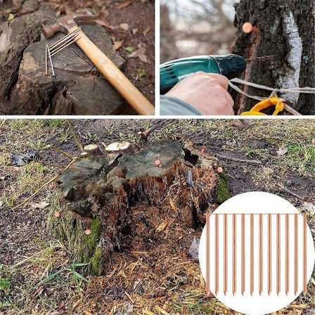 20 Kobbernagler til Dræbning af Træer & Stubbe - 9 cm Lange, Inkluderer 1 Stålsøm & 1 Bor, Kompatibel med Forskellige Mærker[GPA]