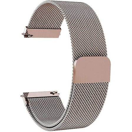 För Garmin Forerunner 245 Music/Forerunner 645 Music Stark Magnet Mesh Rem Armbandsur (20mm) (FMY)