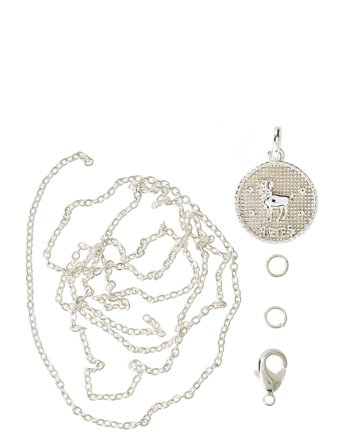 Me & My Box | Zodiac Coin Pendant And Chain Set, Aries | ONE SIZE