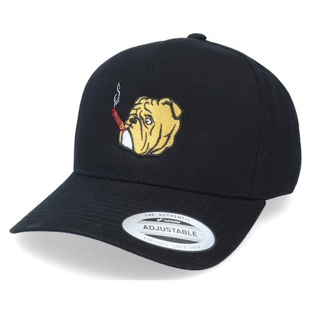Iconic - Schwarz adjustable Cap - Bulldog Cigar Black A-Frame Adjustable @ Hatstore