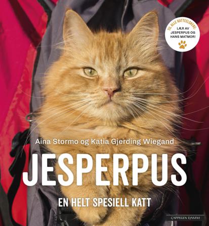 Jesperpus - Bok av Aina Stormo & Katia Gjerding Wiegand - Hardback