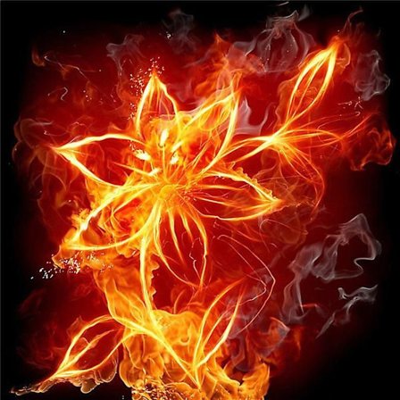 30x40 Cm 5d Fuld Diy Diamantmaleri Blomster, Bor Diamant Korssting Diamantmaleri