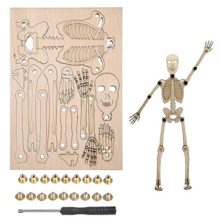 Menneskeskelet Model Legetøj 3D Skelet Struktur Puslespil Hjerneudviklende Tidlig Læring Legetøj Videnskabssæt til Klasseværelset