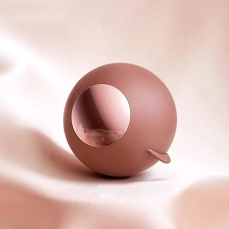 Lint Roller Hårborttagare Boll, Professionell Bärbar Diatom Mud