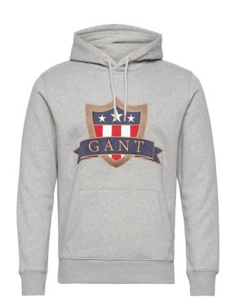 D1. Gant Banner Shield Hoodie Grey GANT