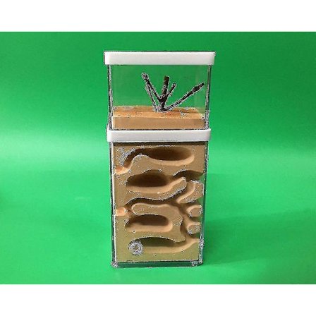 Naturlig Ekologisk Insektslott Workshop Farm Myrslott Gips