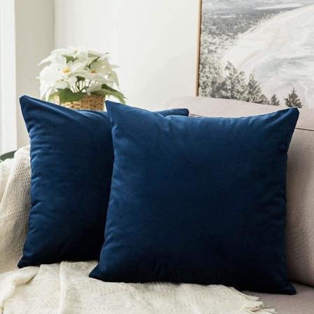 Sæt med 2 fløjlspudebetræk Dekorativ Blød Glat Moderne Pudebetræk Dekoration Til Stue Soveværelse Sofa 2 stk. 30x50cm Lysegrå