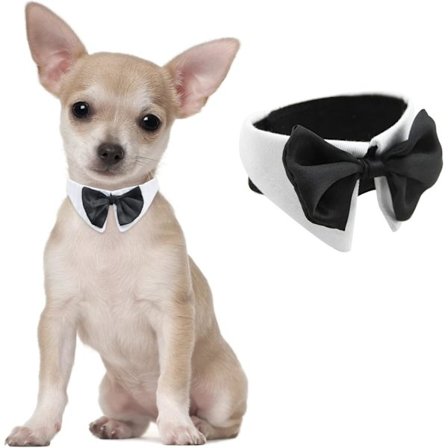 Hunde-butterfly, 1 sæt hvid justerbar butterfly-krave til små hunde, katte, bryllup, fødselsdag