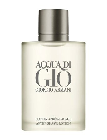 Armani Giorgio Armani Acqua Di Giò After Shave Lotion 100Ml - Nude - 100ML