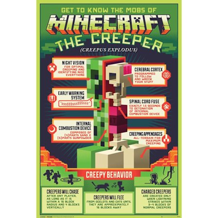 Minecraft - Creepy Behaviour