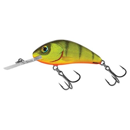 Salmo Rattlin' Hornet 6,5cm, 20g Flytande - Hot Perch