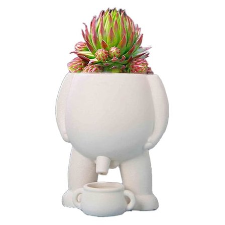 Piss Pot -ruukku, pissa ruukku kasveille, pissapoika ruukku, kukkaruukku hauska maljakko koti